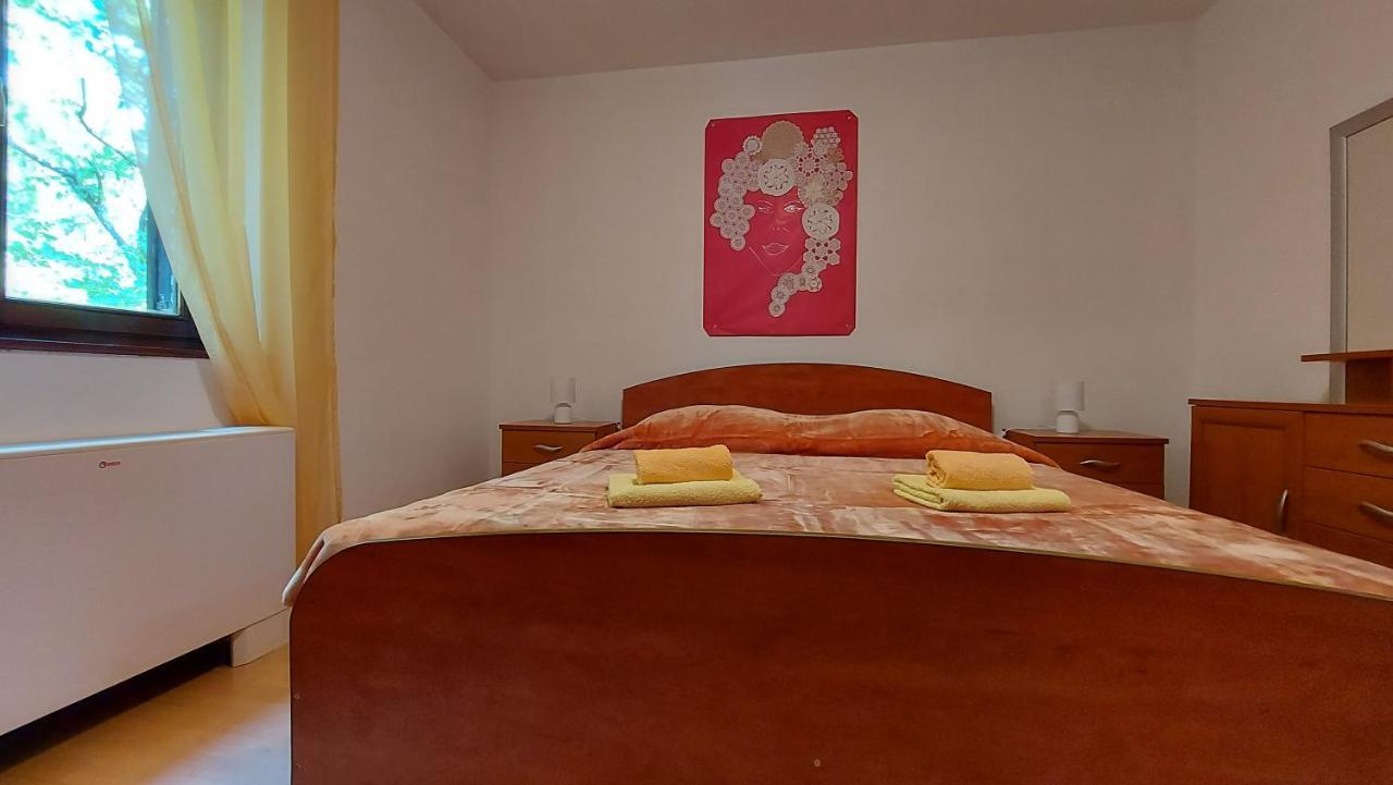 Apartman Roberta Labin  Buitenkant foto